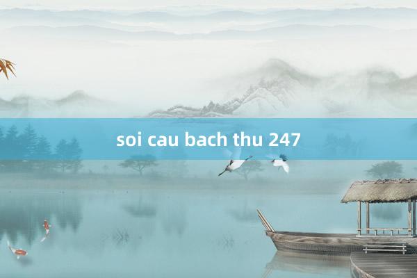 soi cau bach thu 247