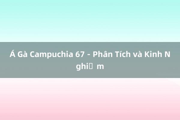 Á Gà Campuchia 67 - Phân Tích và Kinh Nghiệm