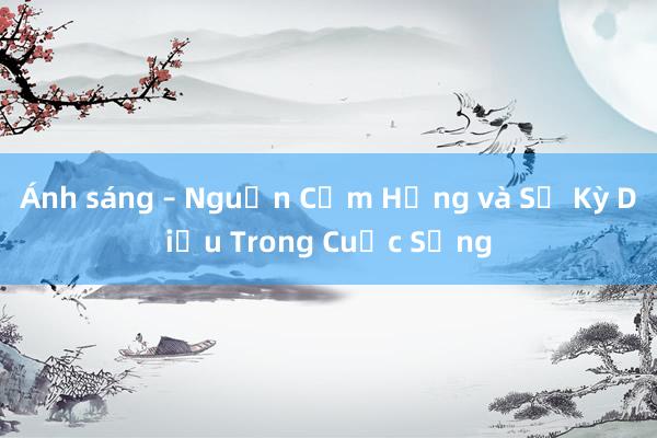 Ánh sáng – Nguồn Cảm Hứng và Sự Kỳ Diệu Trong Cuộc Sống