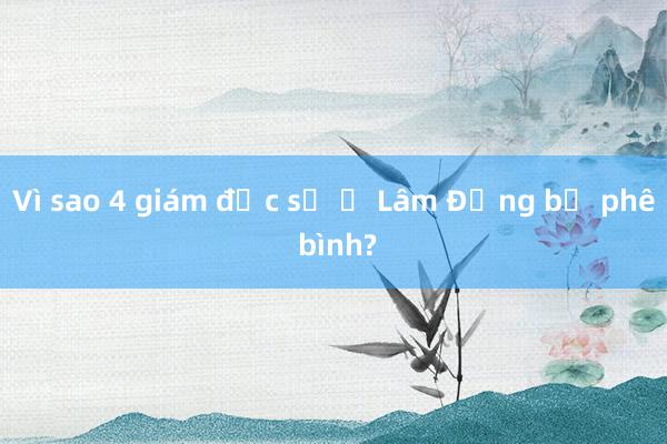 Vì sao 4 giám đốc sở ở Lâm Đồng bị phê bình?