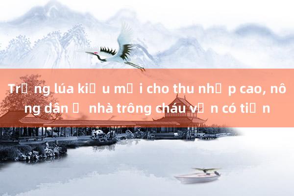 Trồng lúa kiểu mới cho thu nhập cao， nông dân ở nhà trông cháu vẫn có tiền