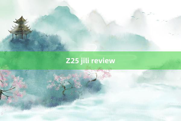 Z25 jili review