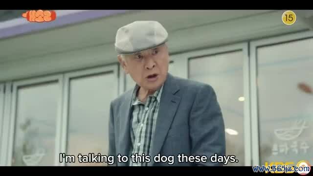 Trailer Dog Knows Everything (Chú chó biết tuốt)